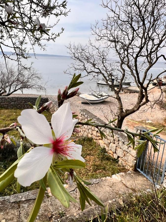 Apartmani Tin Starigrad Paklenica Buitenkant foto